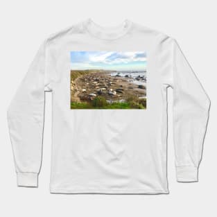 Elephant Seals in California Long Sleeve T-Shirt